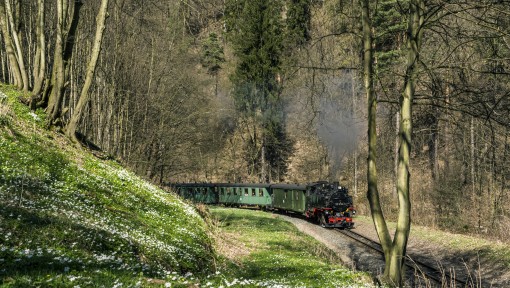 Wei&szlig;eritztalbahn im Rabenauer Grund 
&copy; Michael Sperl
