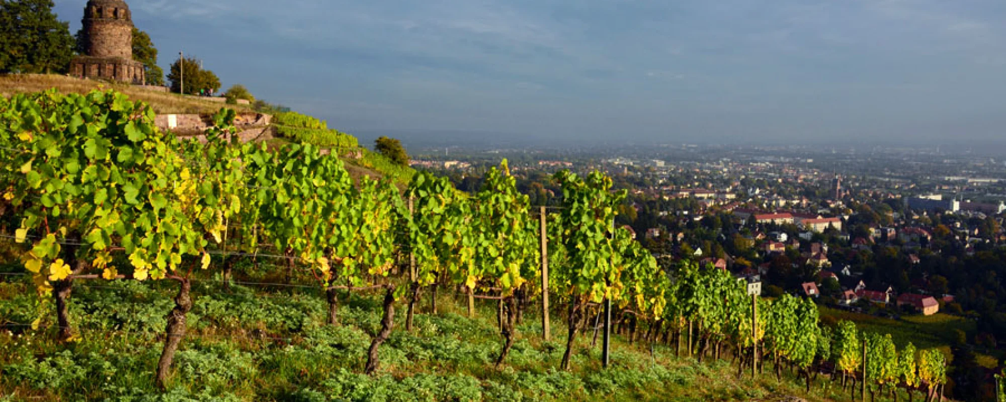 Touristinformation Radebeul